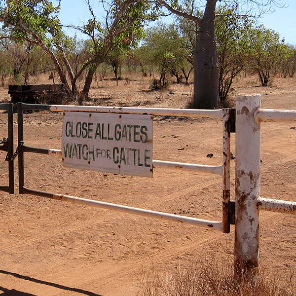 Station gate by Tim